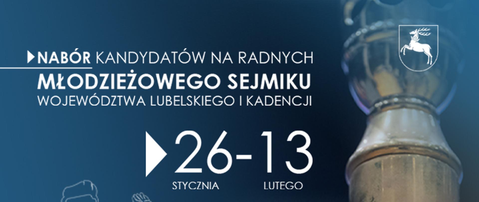 Plakat Młodzieżowego Sejmiku Województwa Lubelskiego