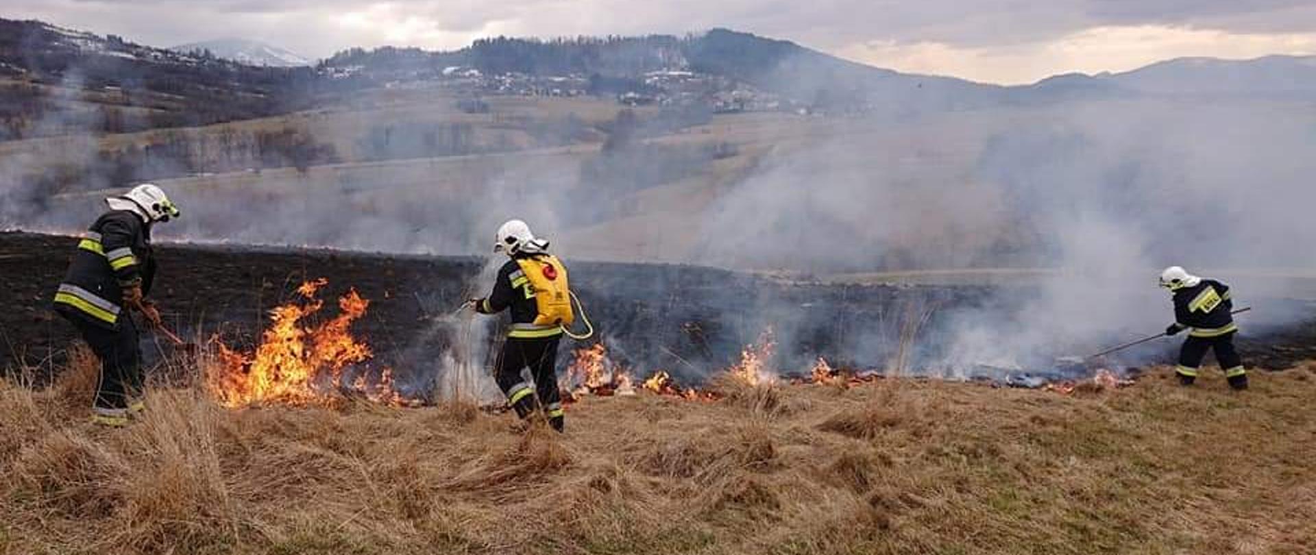 Strażacy gaszą pożar nieużytków rolnych.