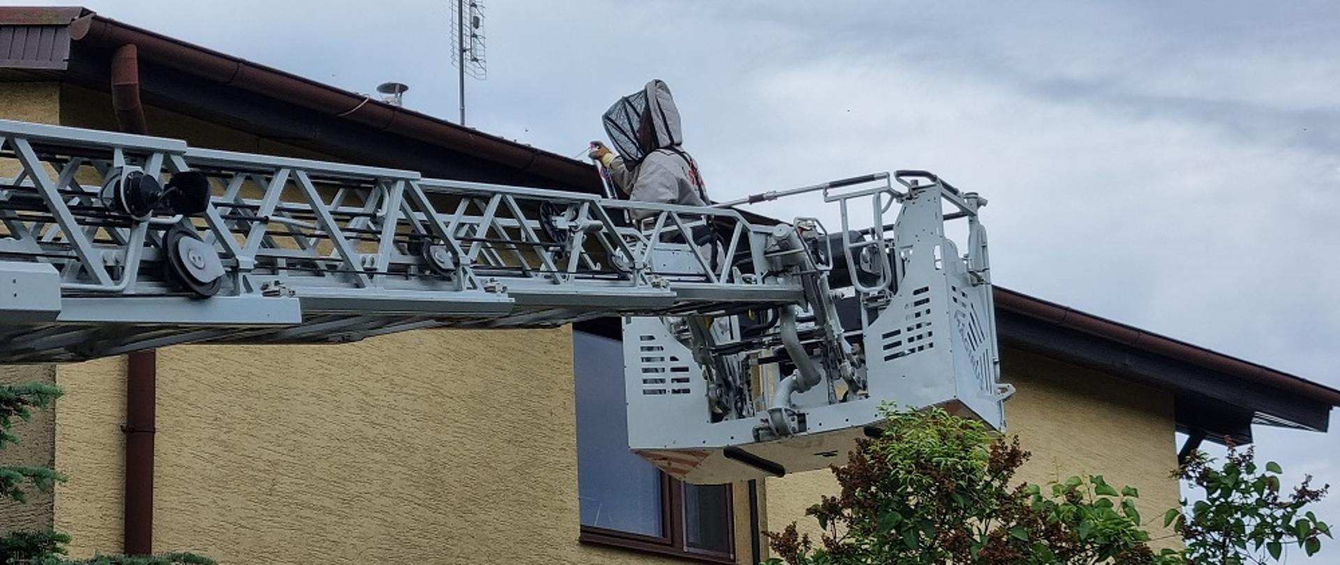 Zdjęcie przedstawia strażaków podczas interwencji związanej z owadami błonkoskrzydłymi.
W tle budynek jednorodzinny.
