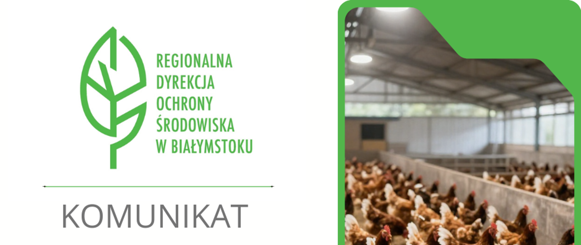 RDOŚ w Białymstoku odmawia budowy 27 kurników w miejscowości Waliły w woj. podlaskim