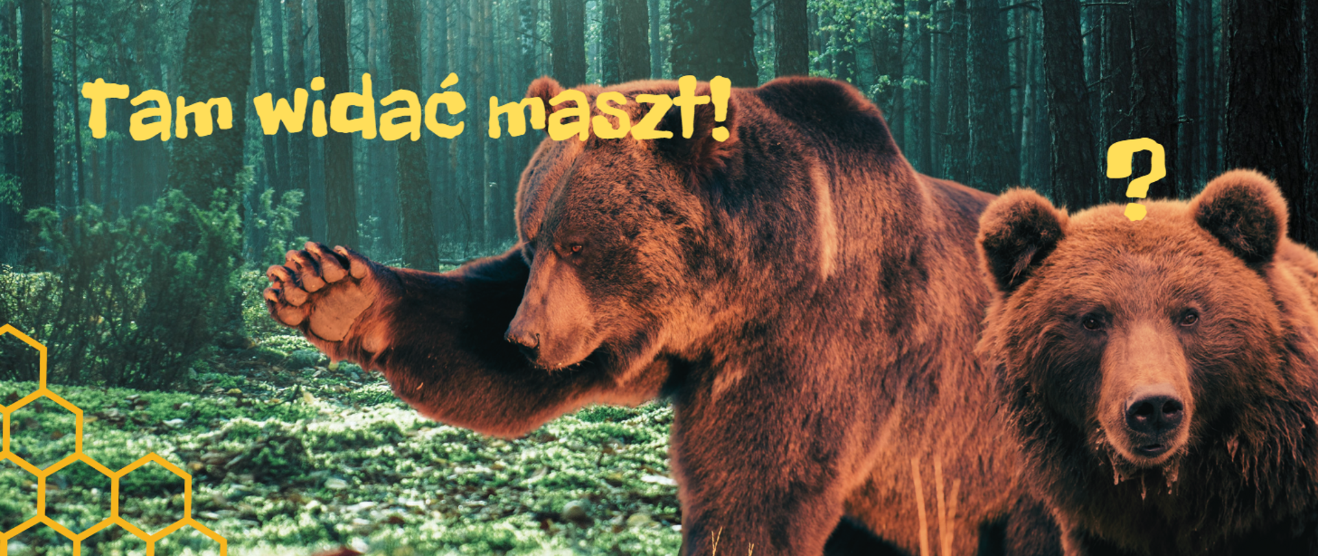 Przez las idą dwa niedźwiedzie. Jeden z nich pokazuje łapą kierunek mówiąc: Tam widać maszt!