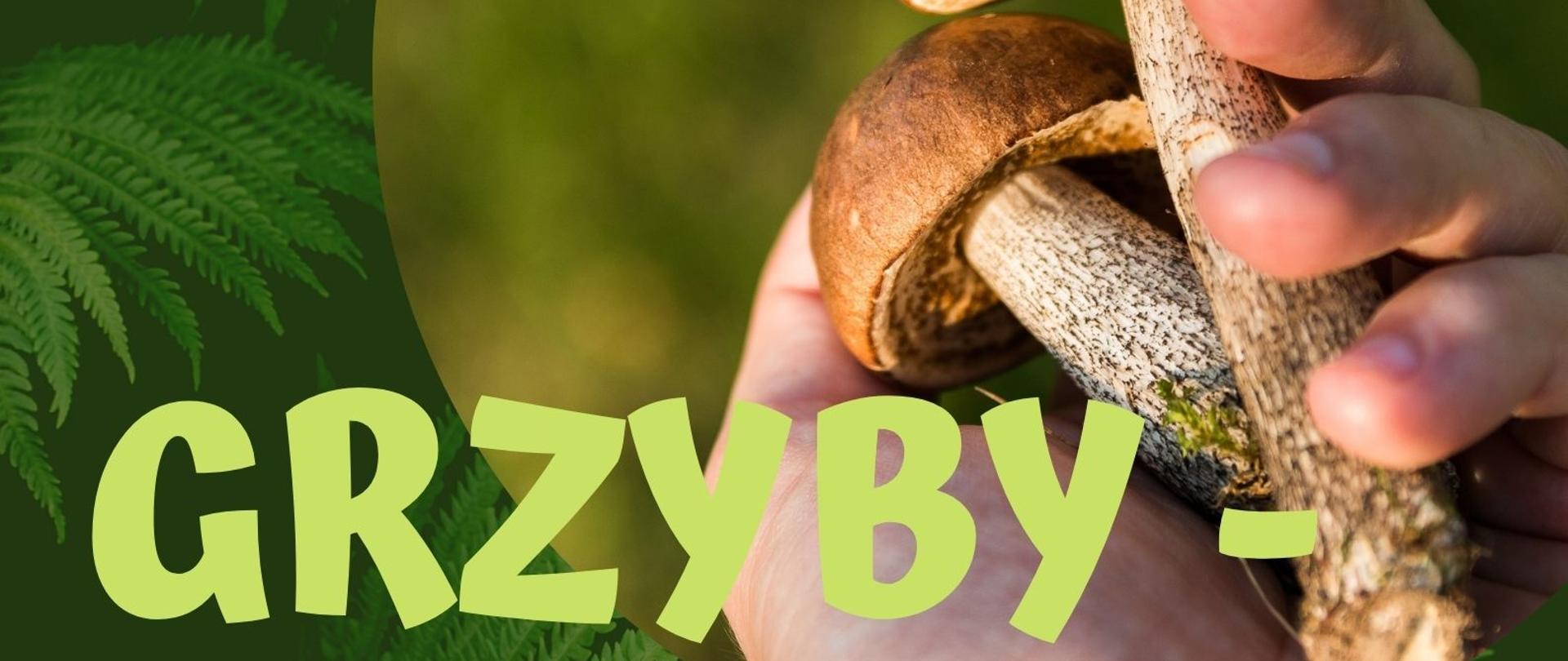 Konkurs pt.: "Grzyby - Skarby Natury"