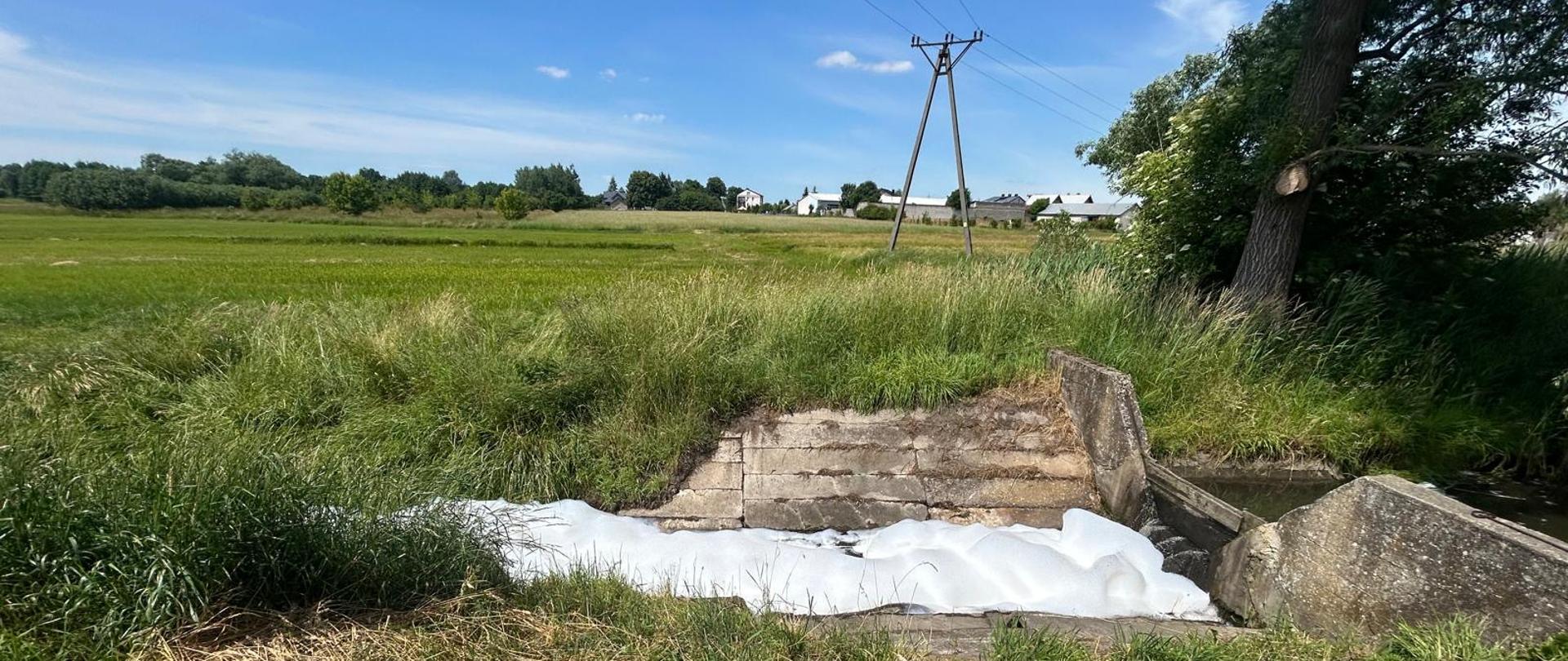 Piana w unosząca się na wodzie w korycie rzeki. Została zatrzymana poprzez zamknięci grodzi. Brzegi rzeki porośnięte są wysoką trawą i obudowane betonem przy grodzi. Po prawej stoją drzewa, w tle domy, kolejne drzewa i słup wysokiego napięcia.