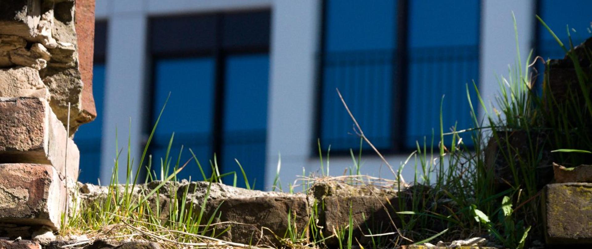 Na zdjęciu w pierwszym planie fragment ceglanego muru z wyłomem porośniętym trawą. W tle widać okna nowoczesnego budynku. Po lewej stronie u góry widać metalowy element prawdopodobnie z ogrodzenia