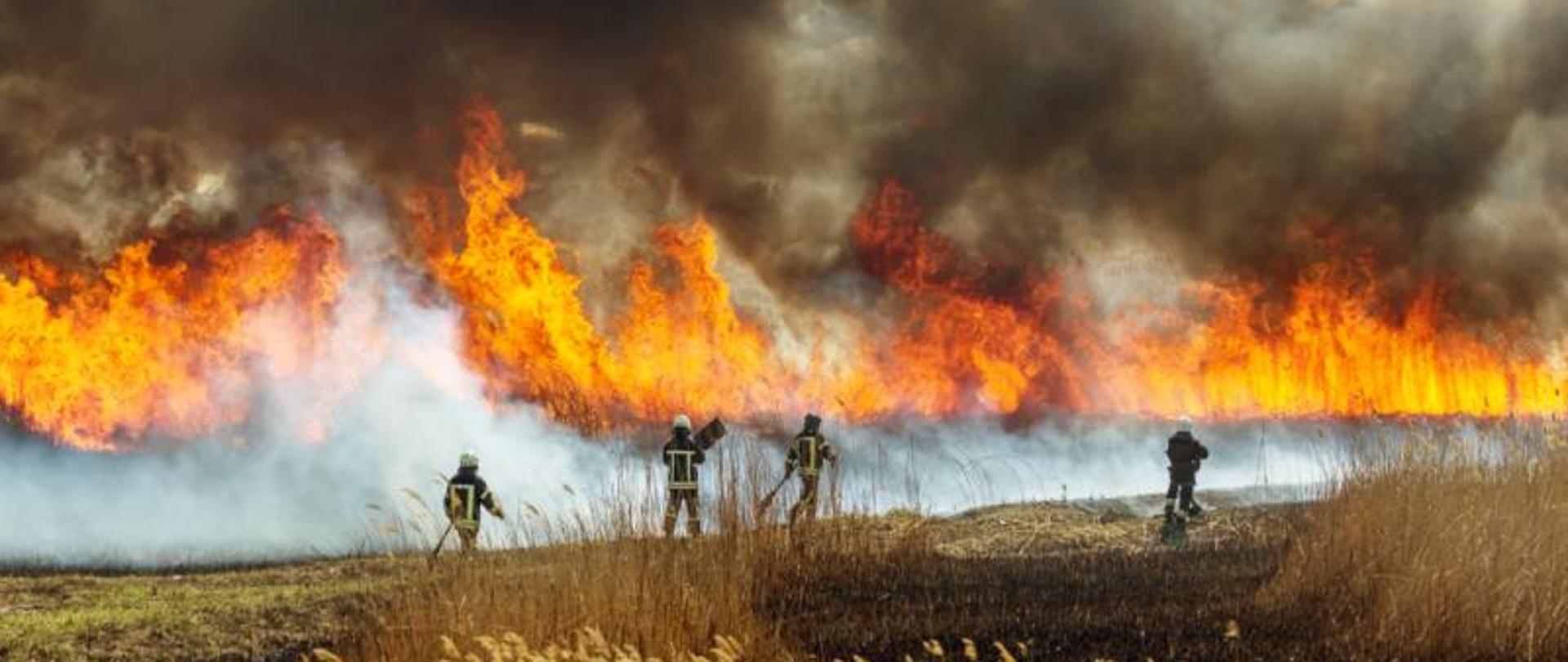 Strażacy gaszą trawy