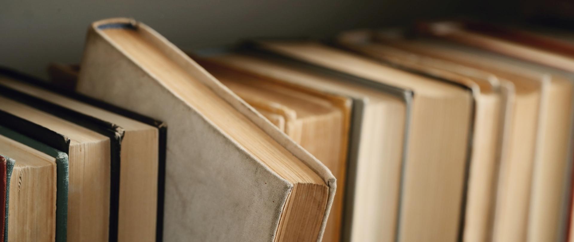 Books on a book shelves