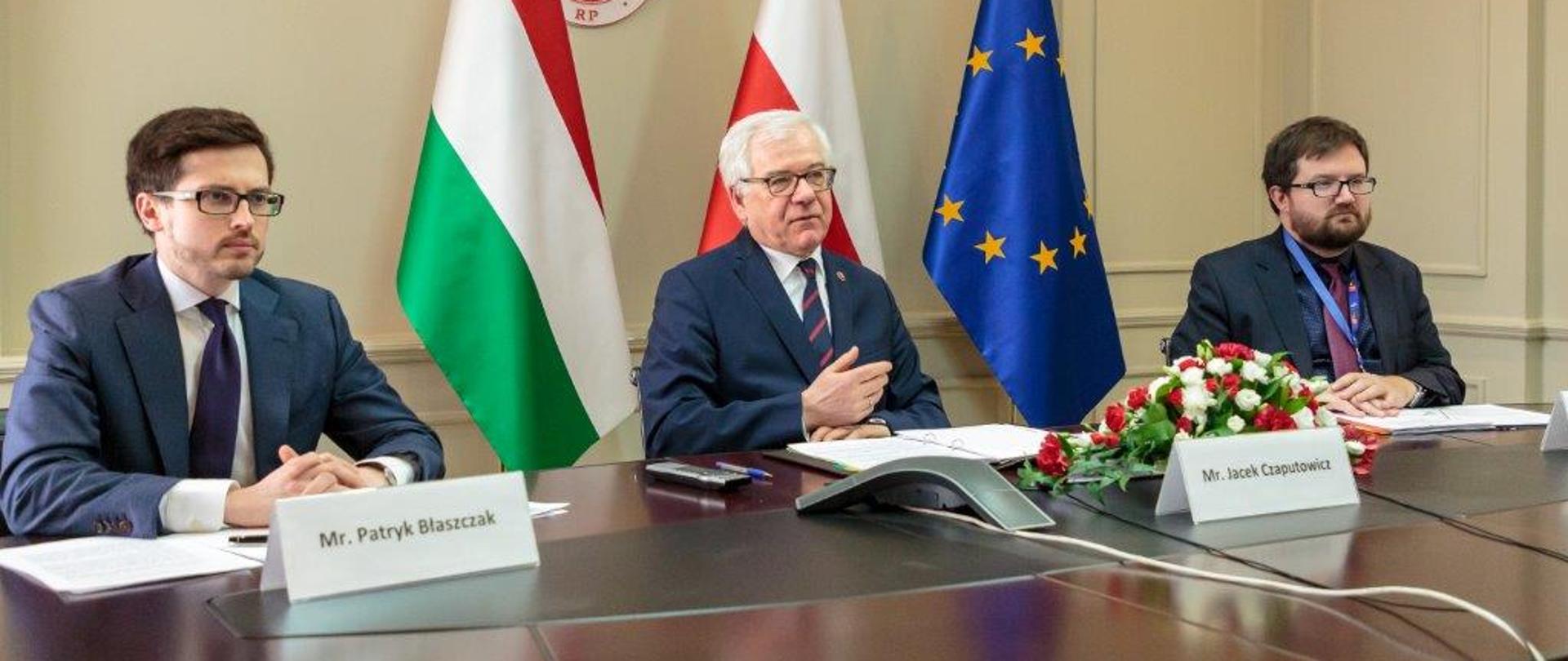 Polish - Hungarian video conference