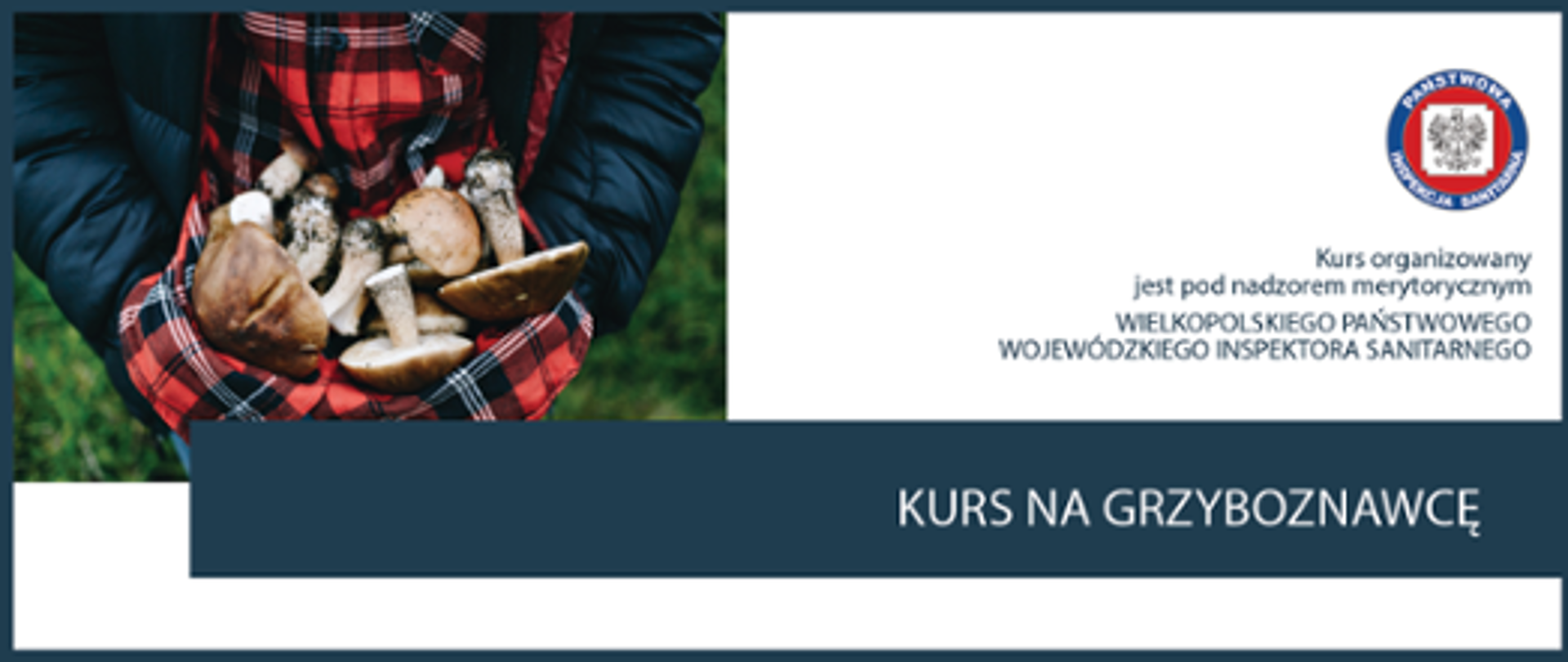 Na zdjęciu po lewej stronie osoba obejmuje na koszuli grzyby. Po prawej stronie logo Państwowej Inspekcji Sanitarnej, a pod nim napis Kurs organizowany jest pod nadzorem merytorycznym Wielkopolskiego Państwowego Wojewódzkiego Inspektora Sanitarnego. Na granatowym pasku napis: kurs na grzyboznawcę