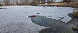 Ćwiczenia z ratownictwa lodowego. Strażak KP PSP w Ciechanowie podczas ćwiczeń na zbiorniku KRUBIN wykorzystujący specjalistyczny sprzęt