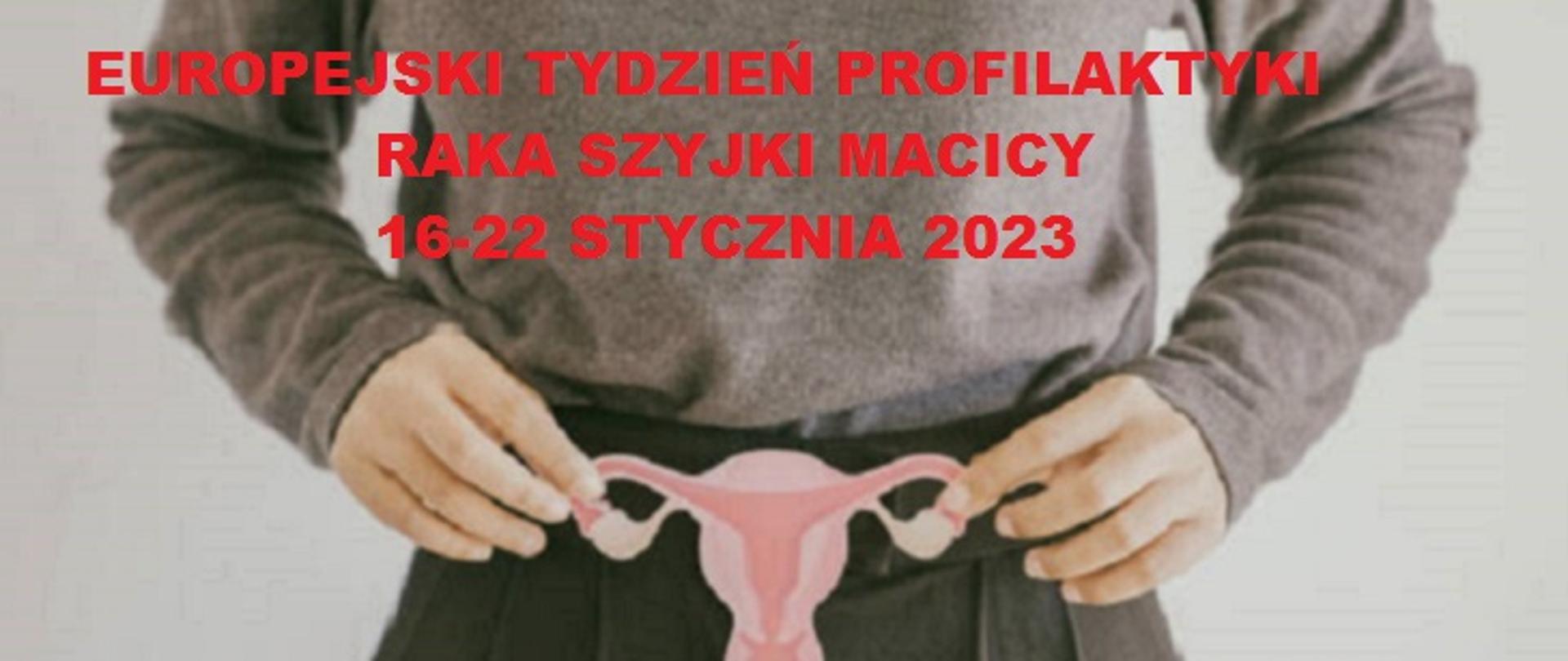 Hands holding uterus, female reproductive system , woman health, PCOS, gynecologic and cervix cancer concept