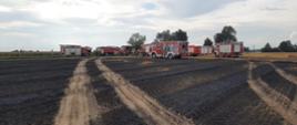 Na zdjęciu widać wozy strażackie stojące na polu po pożarze ścierniska