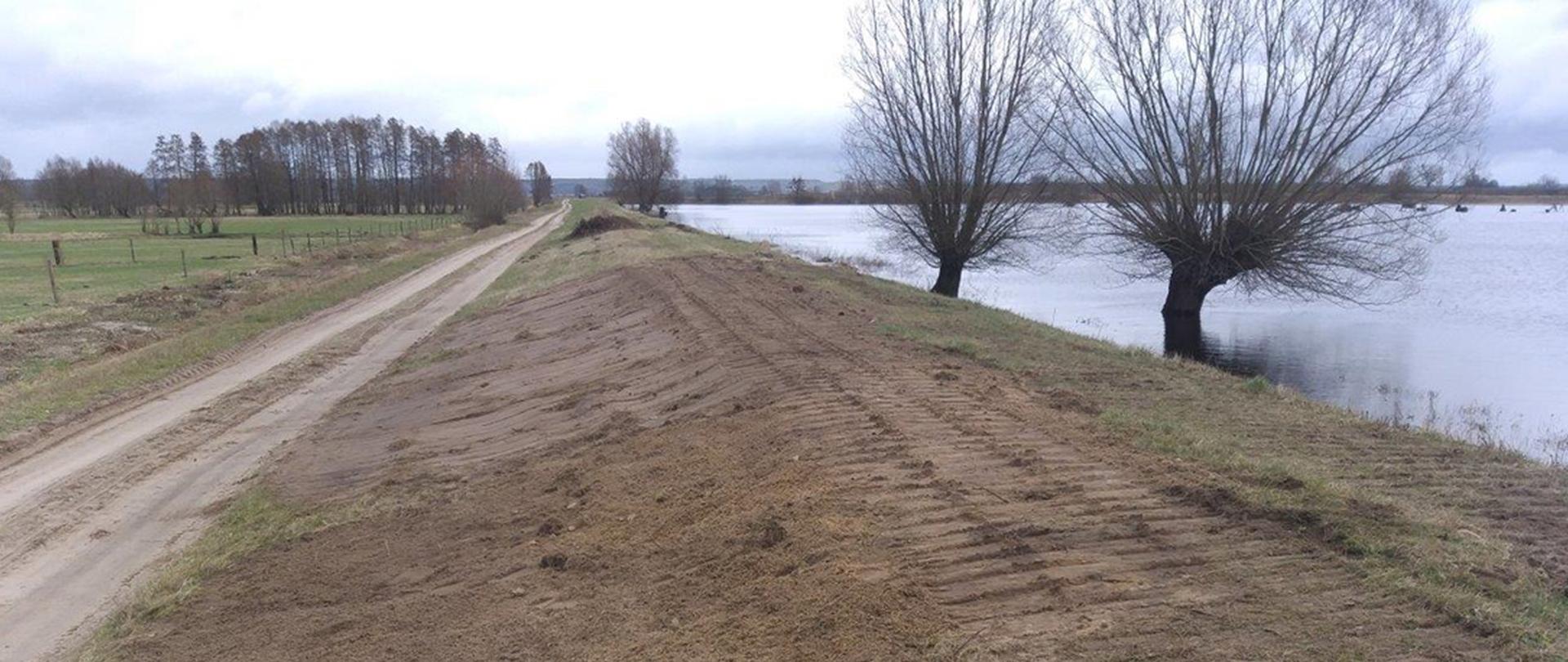 Na zdjęciu widać dopiero co naprawiony wał przeciwpowodziowy. Świeża ziemia wyrównana przez koparkę. Pod wałem rzeka. Przy wale wierzby. Po lewej łąki i skupiska drzew. 