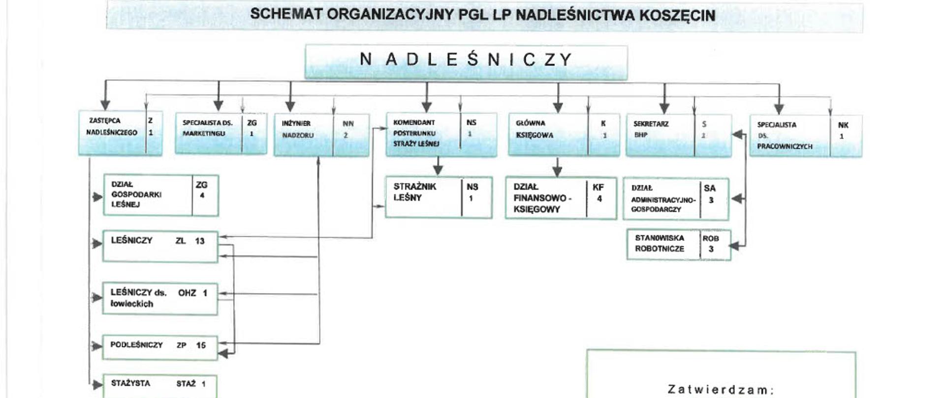 Schemat organizacyjny Nadleśnictwa Koszęcin stan na dzień 01.07.2025 r.