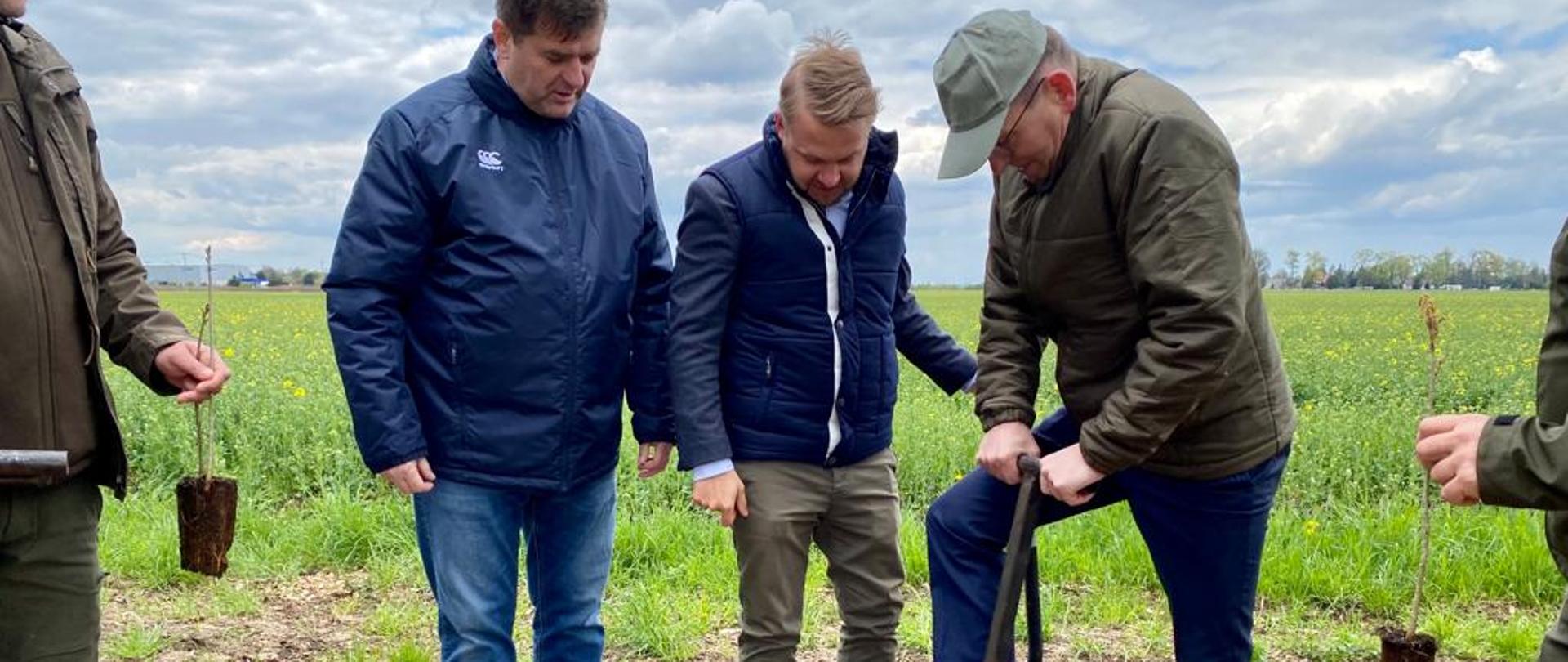 Wiceministrowie Edward Siarka i Jacek Ozdoba podczas sadzenia lasu w Czosnowie