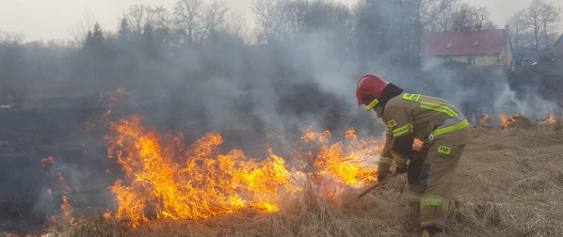 Pożar trawy i krzewów przy miejscowości Godzimierz