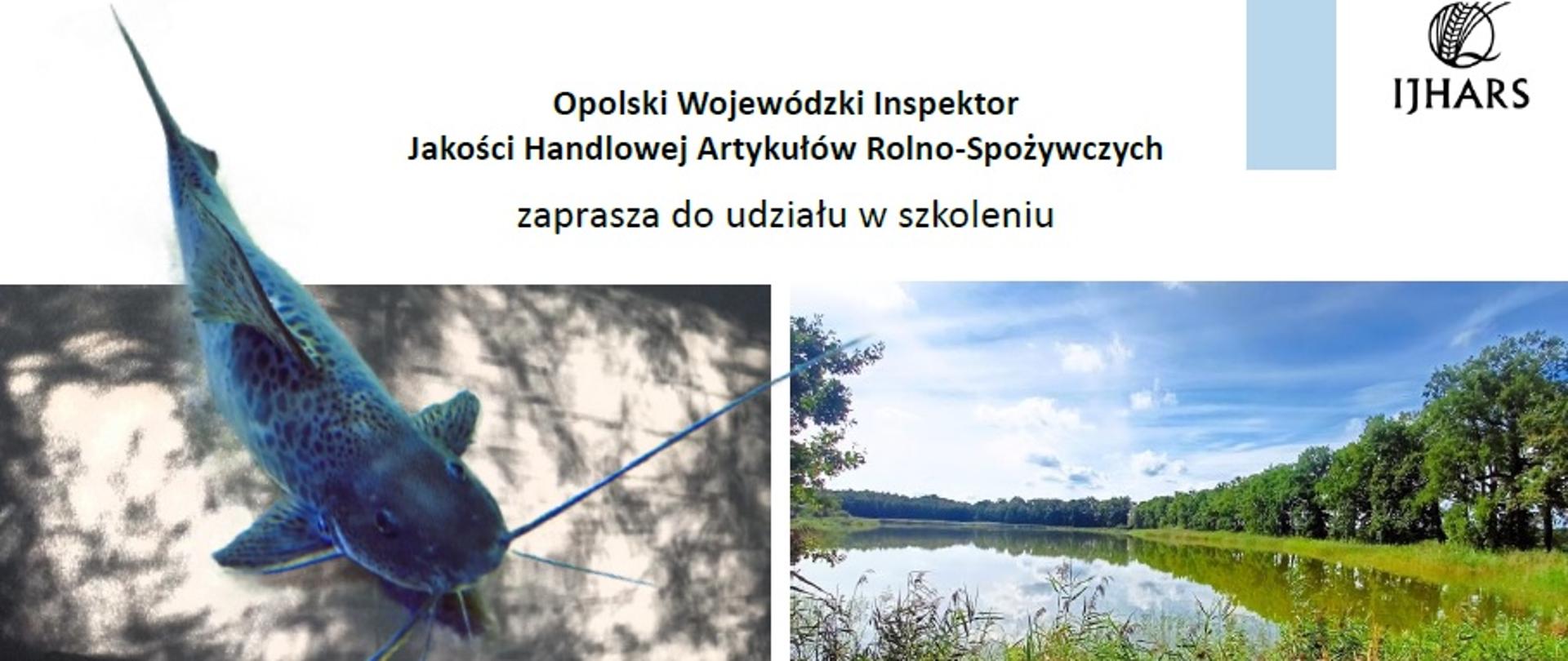 Zaproszenie do udziału w szkoleniu. Po lewej fotografia ryby z wąsami. Po prawej widok oświetlonego letnim słońcem stawu