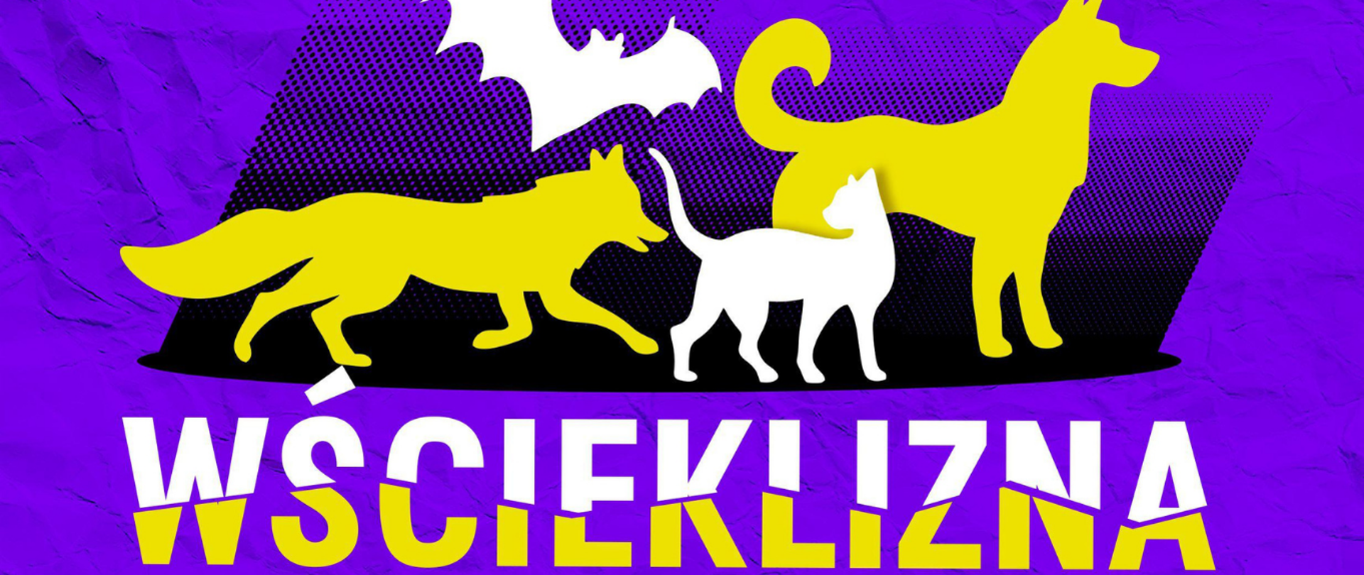 rysunki zwierząt