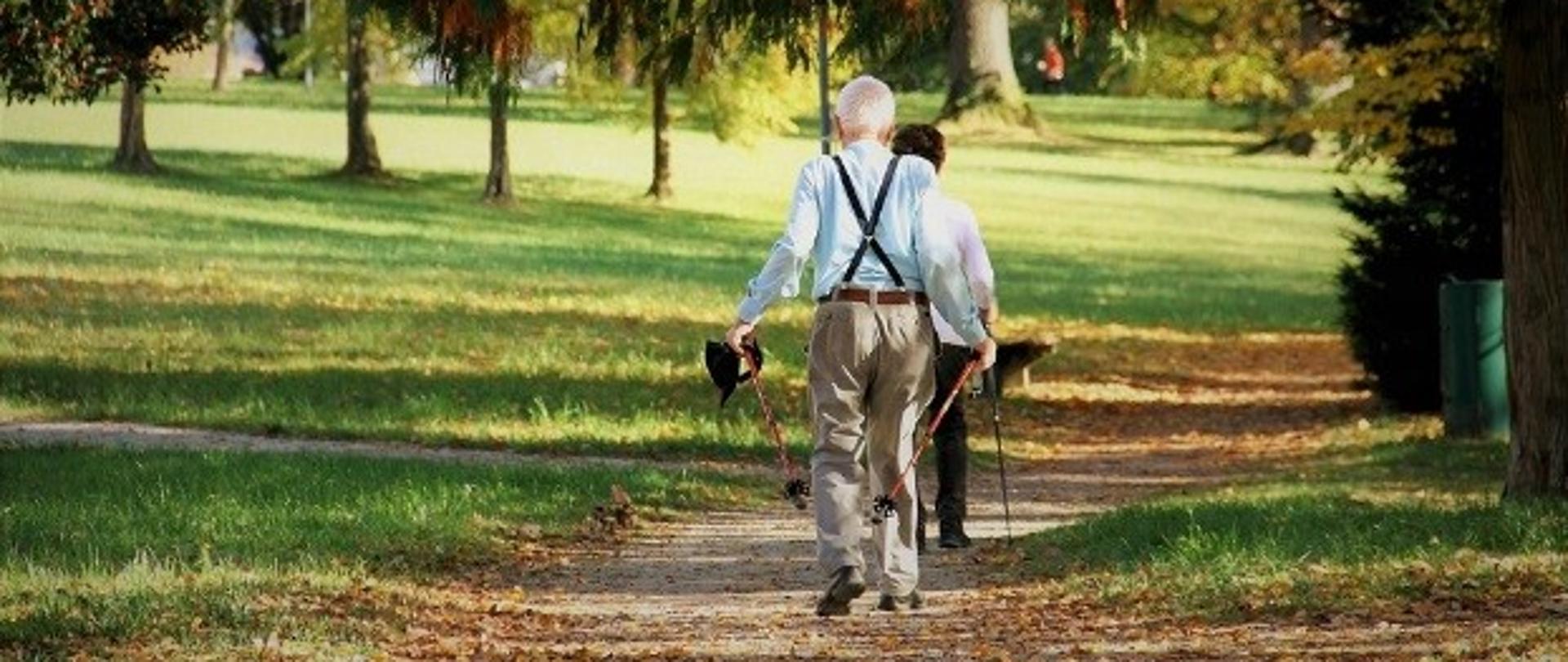 seniorzy na spacerze w parku odwróceni plecami 