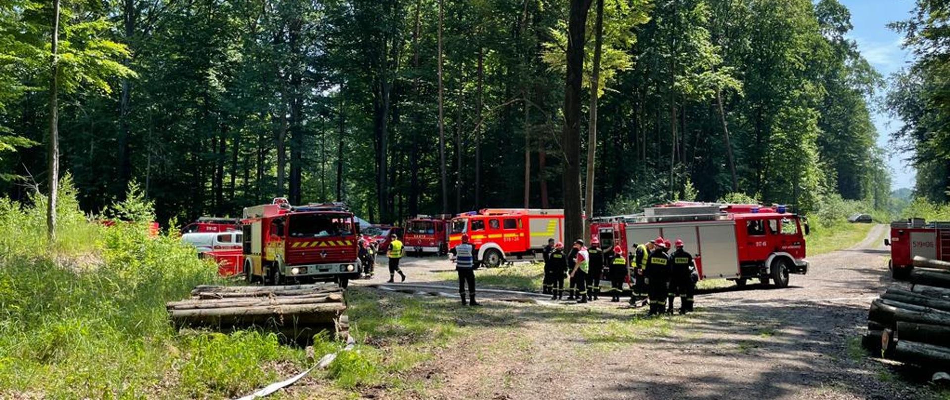 I Manewry Ratowniczo-Gaśnicze Młodzieżowych Drużyn Pożarniczych powiatu mikołowskiego im. dh. Sławomira Bijaka