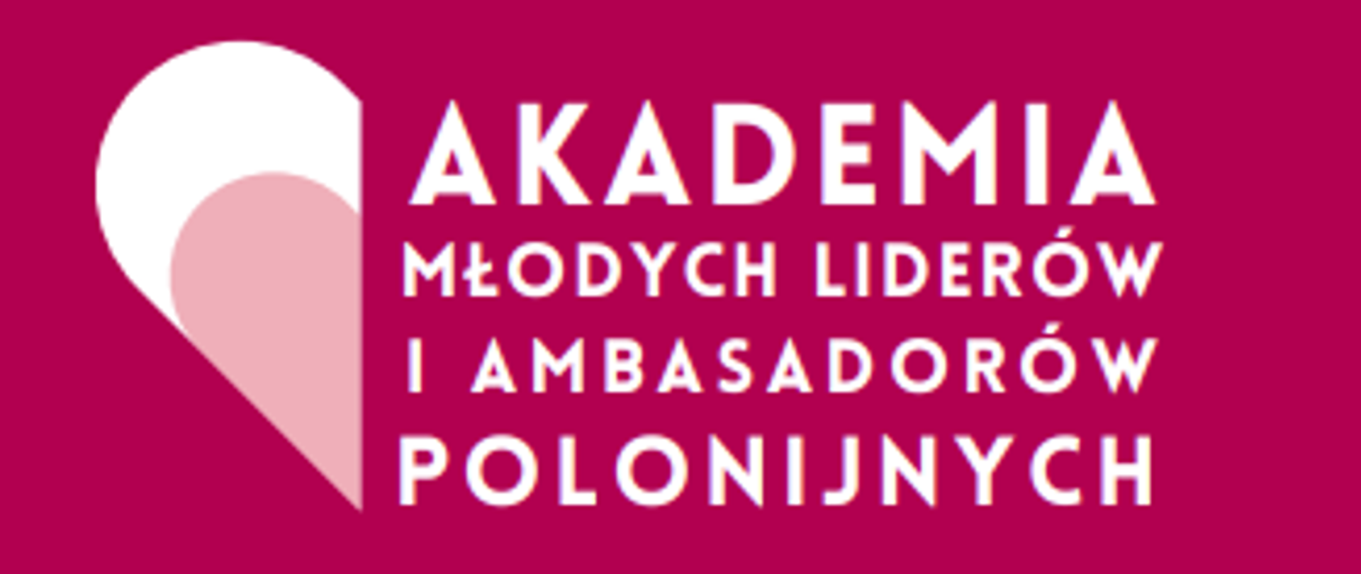 Akademia Młodych Liderów 1