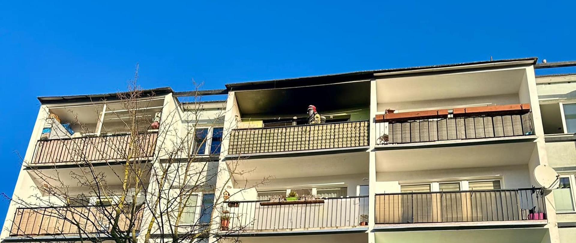 Na zdjęciu fragment wielorodzinnego budynku mieszkalnego z wielkiej płyty z dużymi balkonami. Na silnie okopconym balkonie najwyższej piątej kondygnacji widoczna postać strażaka w czerwonym hełmie na głowie. Na pierwszym planie pozbawiona liści korona niewielkiego drzewa. W tle błękitne bezchmurne niebo.