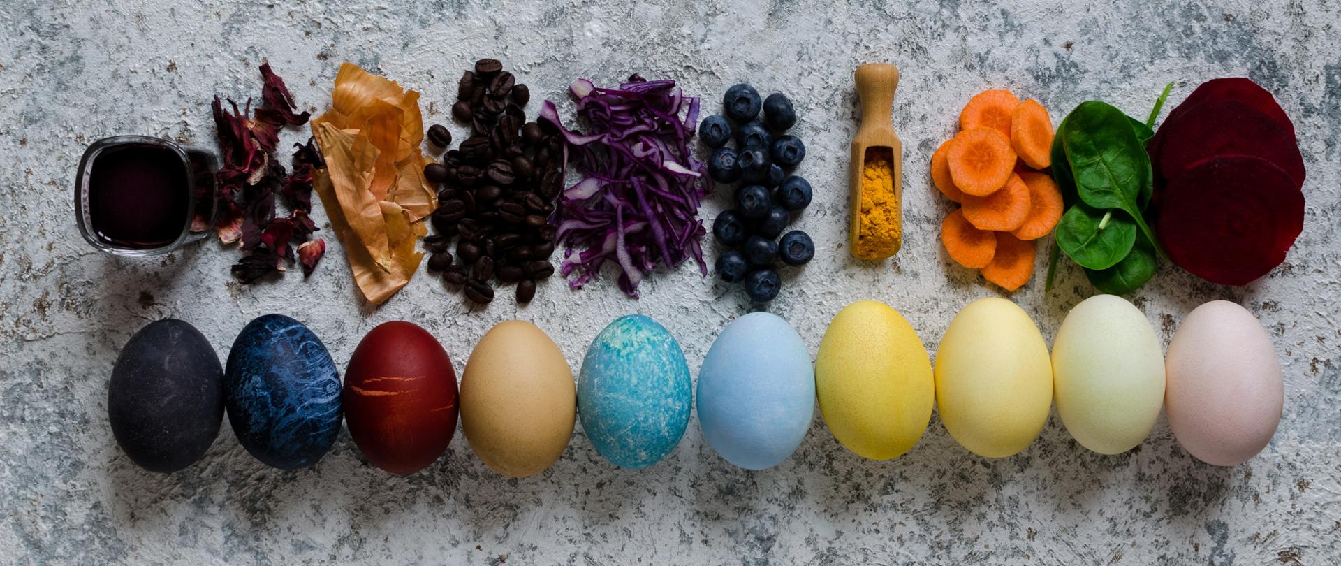 Easter eggs painted with natural egg dye from fruits and vegetables. Homemade naturally dyed Easter eggs with ingredients on concrete background. Copy space. Top view.