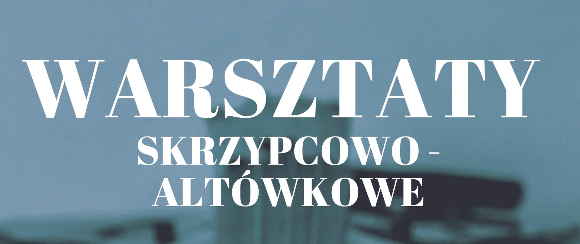 plakat, zdjęcie altówki tło w tonacji niebeskiej, białe napsiy, na dole zdjęcie czarno - białe wykładowcy