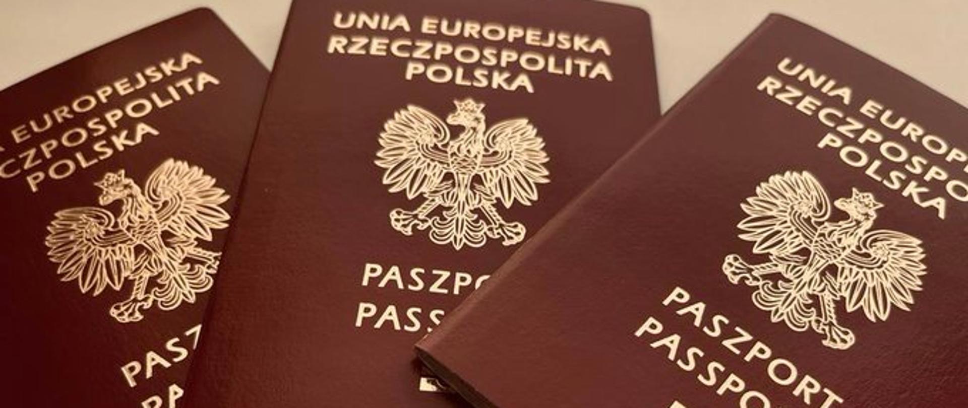 pasaportes