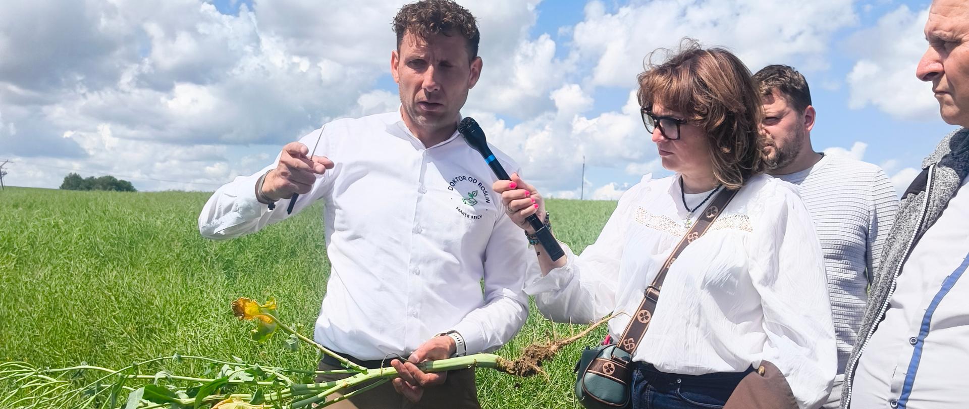Ekspert na polu rzepaku ozimego demonstruje wyrwaną roślinę, podczas gdy kobieta obok trzyma mikrofon