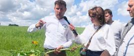 Ekspert na polu rzepaku ozimego demonstruje wyrwaną roślinę, podczas gdy kobieta obok trzyma mikrofon