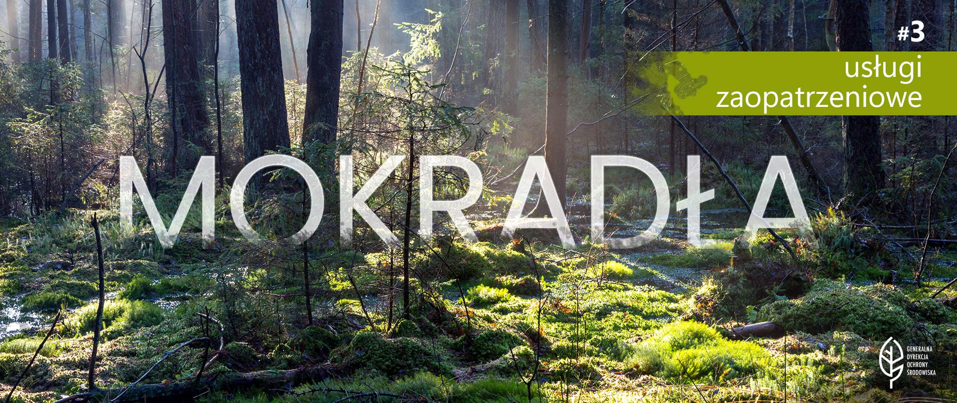 Zdjęcie przedstawia podmokły las. Przez korony wysokich drzew przebijają się promienie słoneczne. Runo leśne jest gęsto porośnięte zielonym mchem. Widać młode drzewka, paprocie oraz powalone gałęzie i konary. Na zdjęciu nałożone są napisy: na samym środku wielki, biały półprzezroczysty napis "MOKRADŁA" . W prawym górnym rogu jasnozielony pasek z białym napisem "#3 usługi zaopatrzeniowe". W prawym dolnym rogu znajduje się biały logotyp Generalnej Dyrekcji Ochrony Środowiska (biały liść).