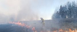 Stop pożarom traw - obraz skutków pożaru
