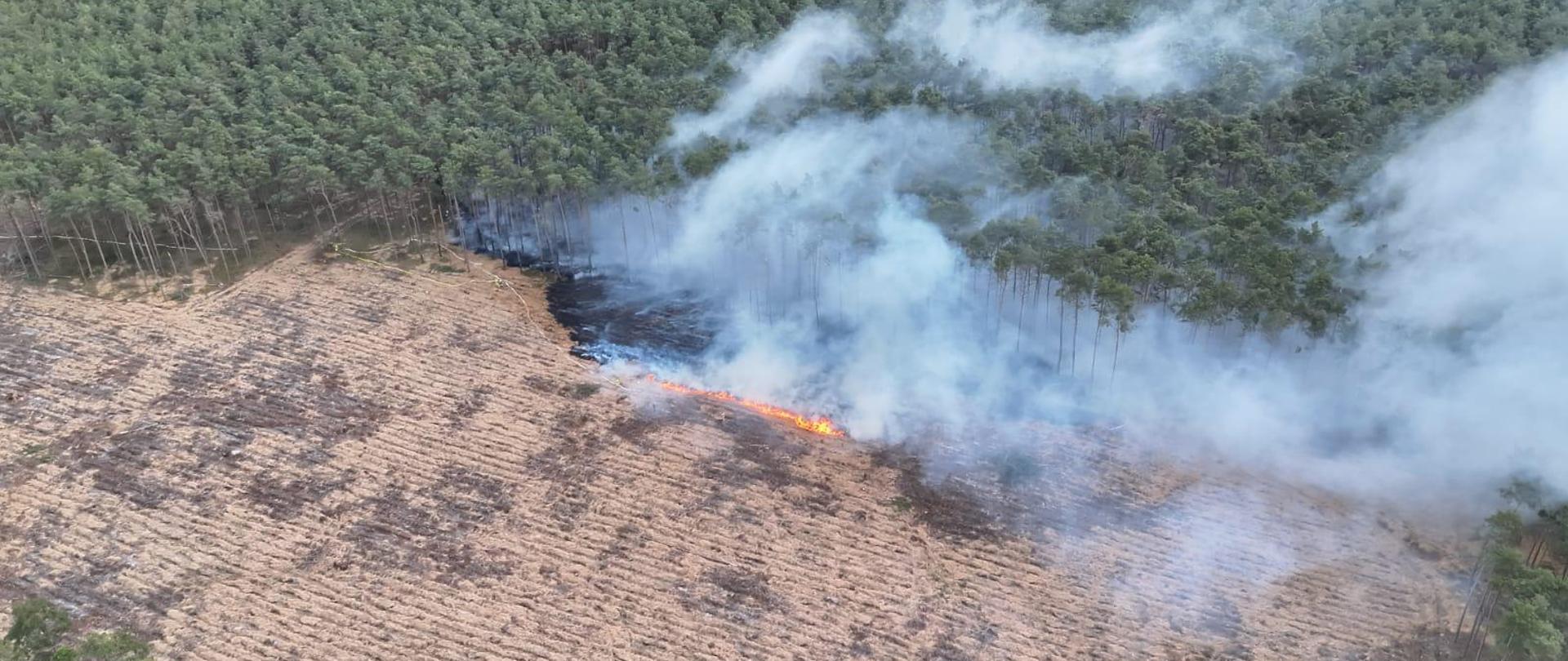 pożar poszycia leśnego, duże zadymienie pokazane z lotu ptaka