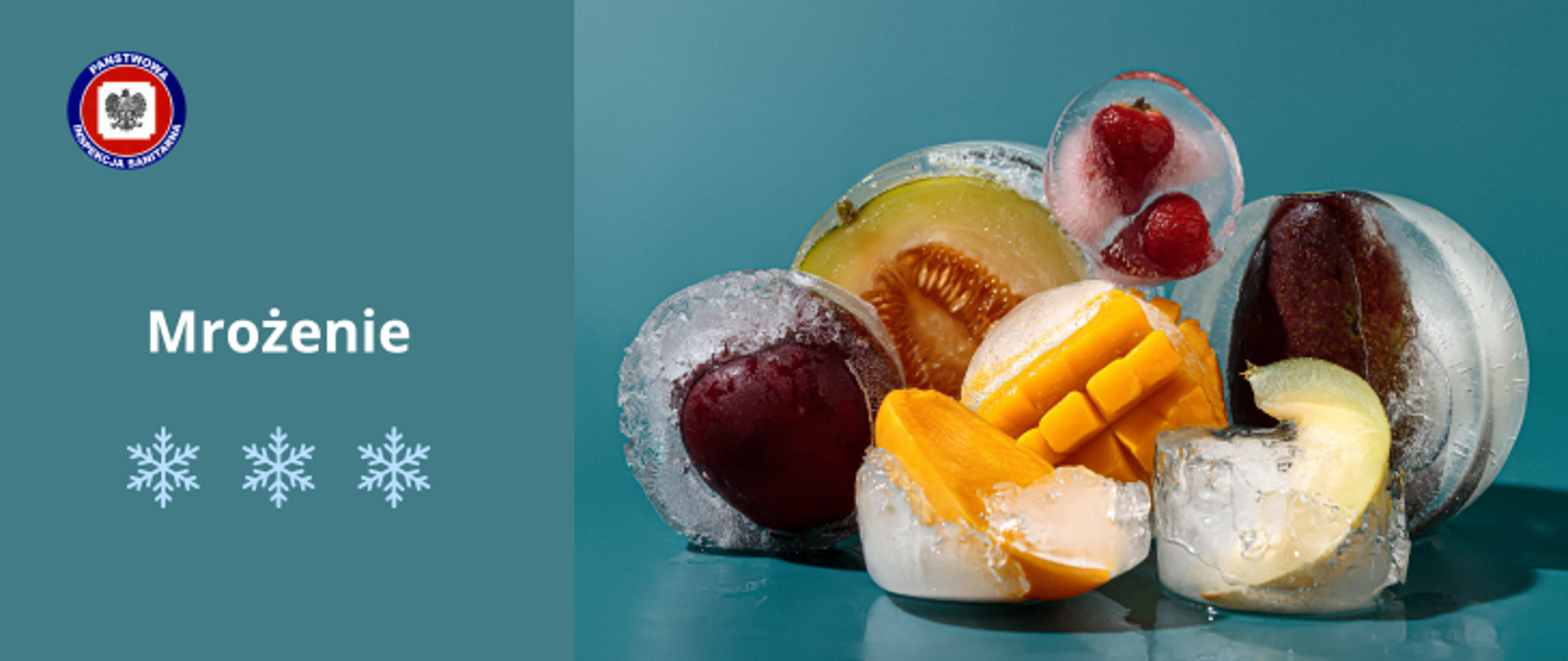 Na niebieskim tle z lewej jasny napis Mrożenie i w lewym górnym rogu logo Państwowej Inspekcji sanitarnej. Po prawej zamarznięte różnego rodzaju owoce - melon, truskawki, śliwka, mango itp. 