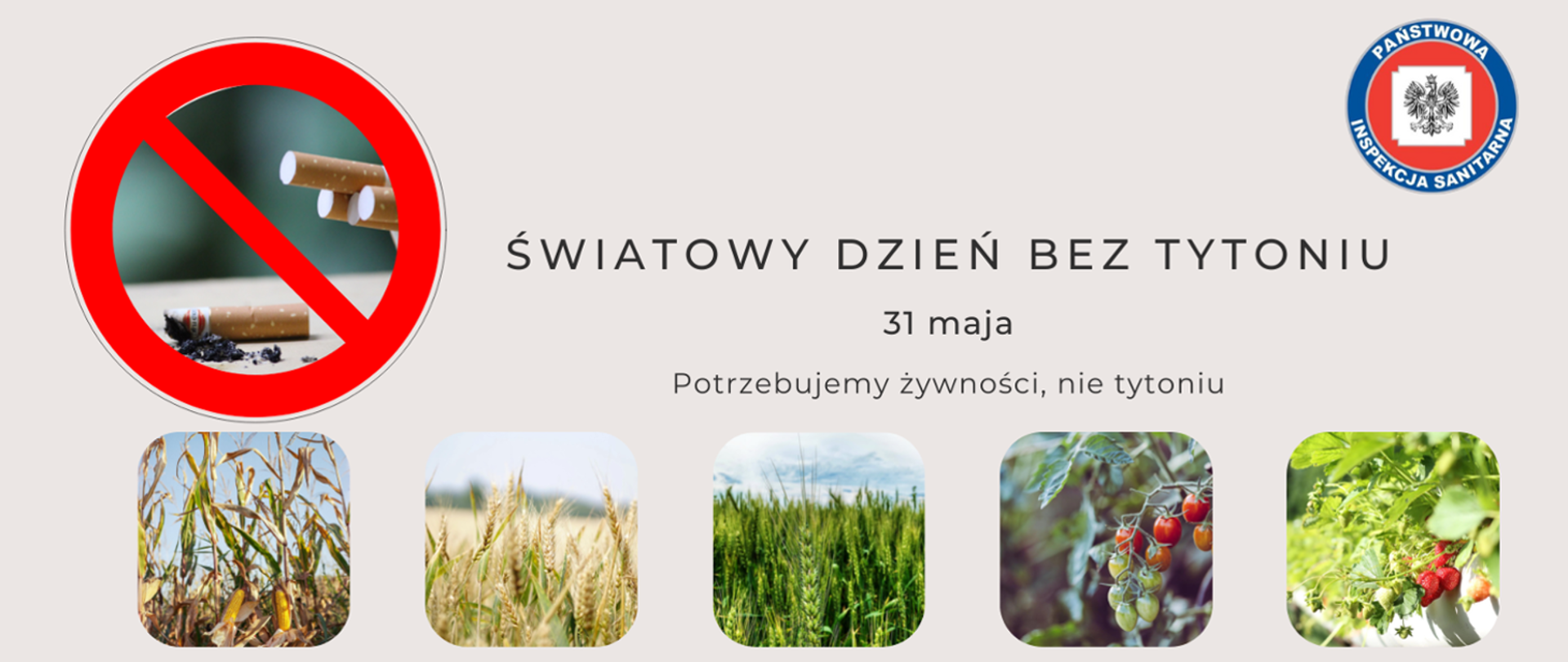 Światowy dzień bez tytoniu , przekreślony papieros , logo inspekcji sanitarnej na całej długości zdjęcia z owocami i zbożem. 