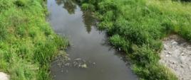 Widok zanieczyszczonej rzeki Stobnic