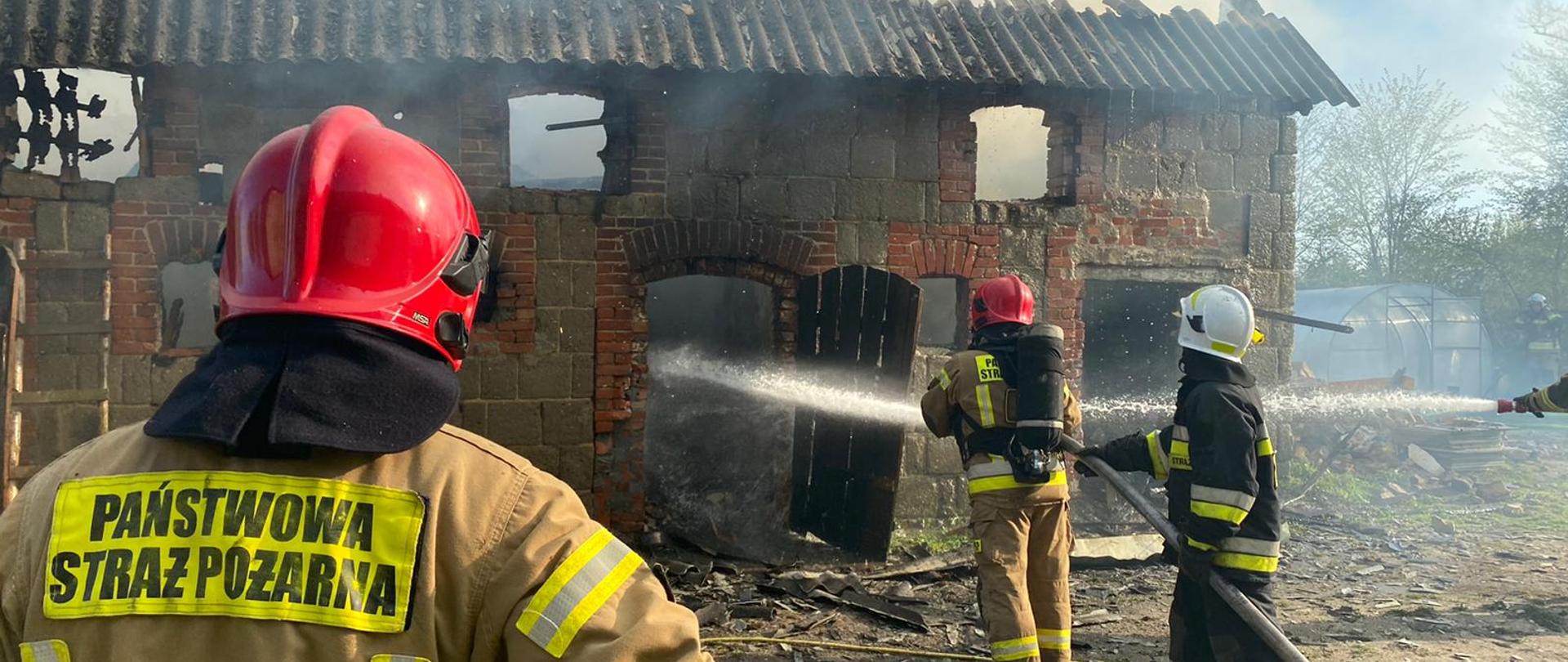 Widoczny strażacy podający prądy wody w natarciu na palący się budynek gospodarczy