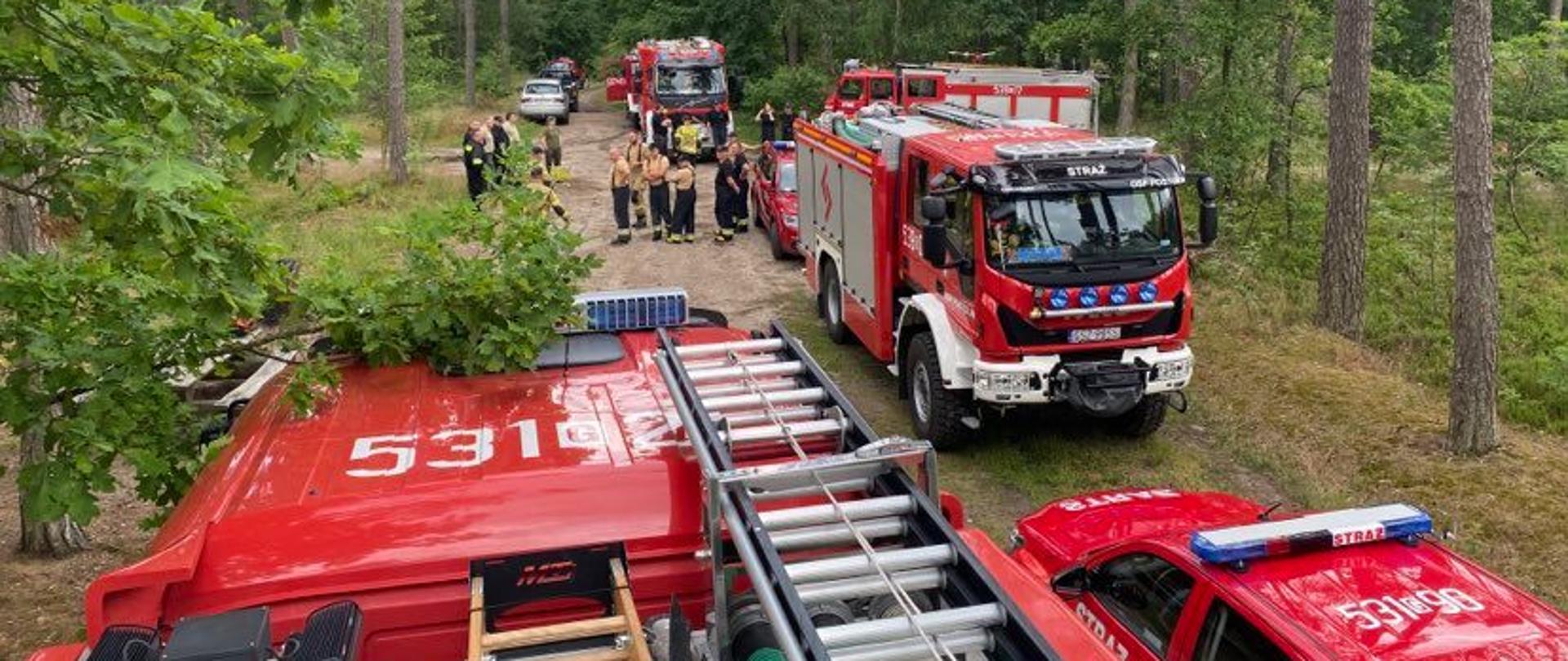 Plener leśny, na drodze leśnej ustawione są pojazdy pożarnicze na zbiórkę przed ćwiczeniami, w środku widać funkcjonariuszy