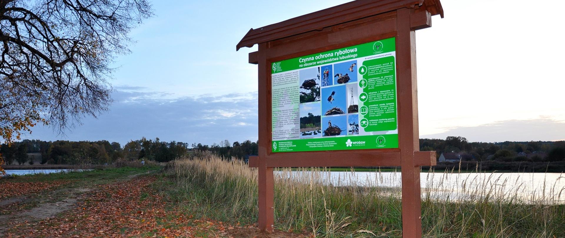 Tablica edukacyjna dotycząca ochrony rybołowa na obszarze województwa lubuskiego. W tle las.