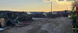 Pożar zabudowań w miejscowości Fajum [22.03.2025]
