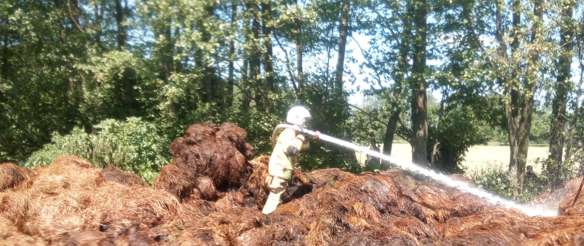 Strażak prowadzący dogaszanie sterty siana.