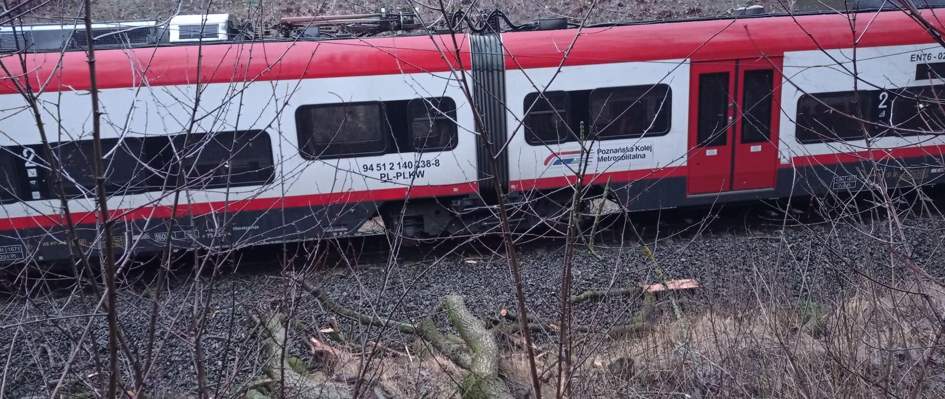 Zdjęcie przedstawia drzewo, które spadło na trakcję kolejową.
W tle pociąg.
