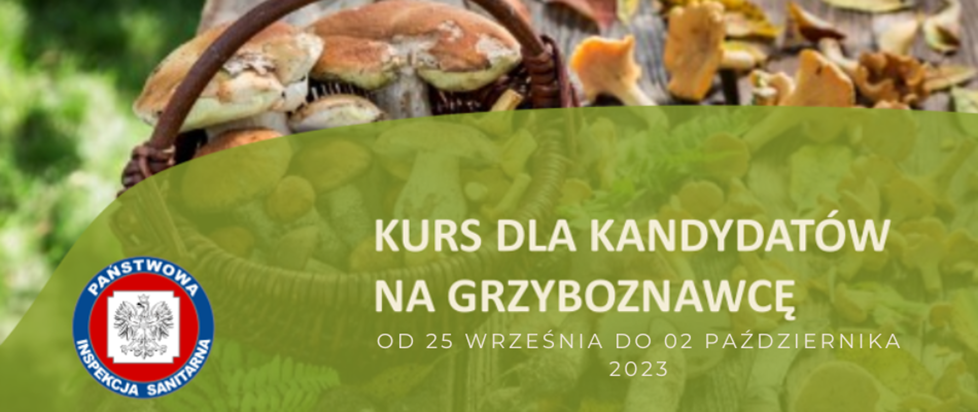 Kurs na Grzyboznawcę
