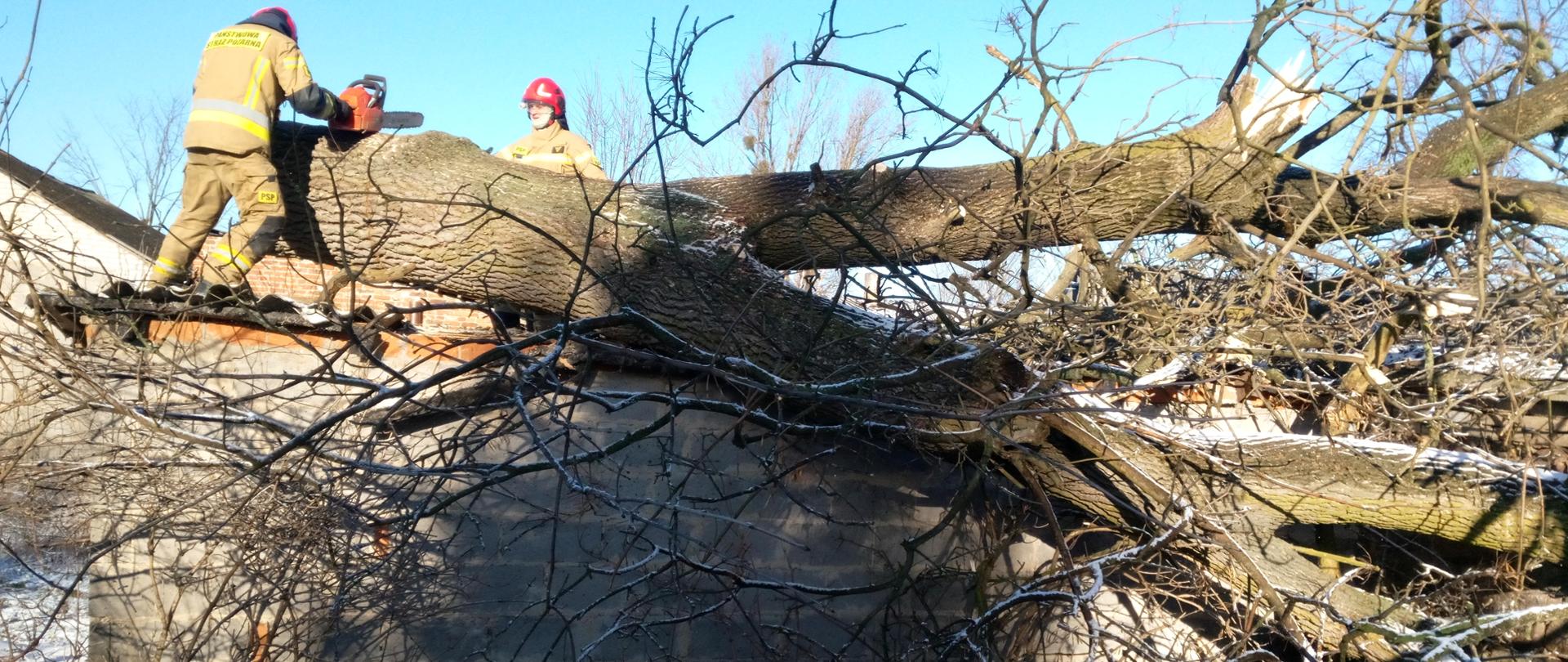 Na zdjęciu strażacy tną pilarkami powalone na budynek drzewo