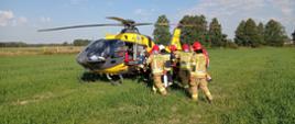 Zdjęcie przedstawia strażaków i ratowników medycznych działających przy wypadku.
W tle śmigłowiec ratowniczy, pole i drzewa.
