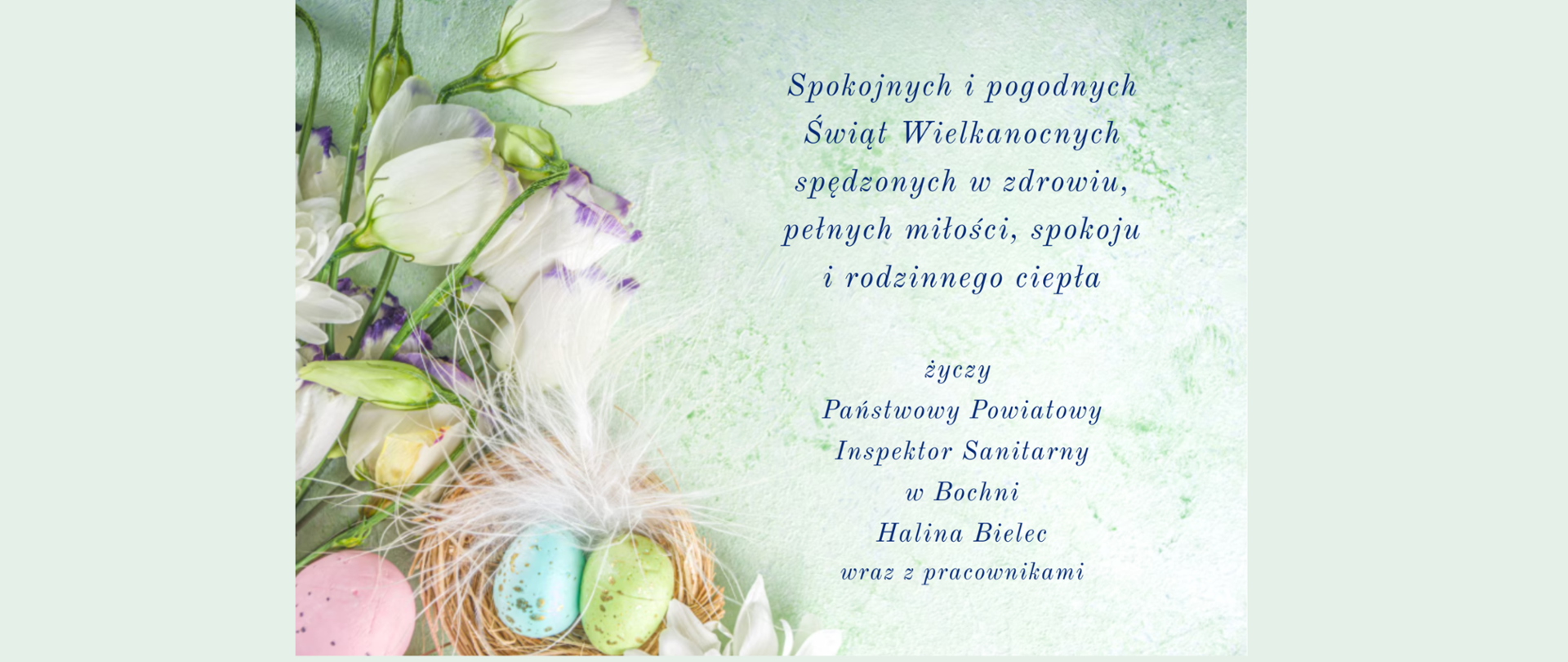 Na zielonym tle po lewej stronie znajduje się stroik wielkanocny z kwiatami, piórkami i pisankami. Na środku znajduje się napis spokojnych i pogodnych Świąt Wielkanocnych, spędzonych w zdrowiu, pełnych miłości, spokoju i rodzinnego ciepła życzy Państwowy Powiatowy Inspektor Sanitarny w Bochni wraz z pracownikami.