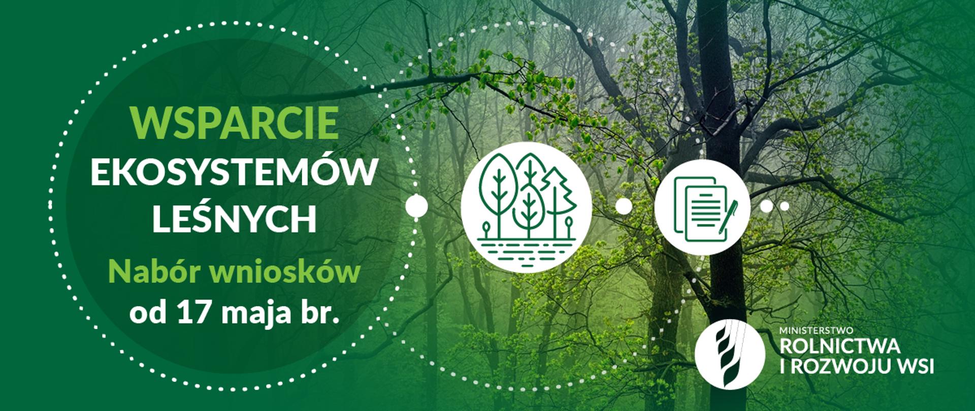 grafika do komunikatu "Wsparcie ekosystemów leśnych w ramach PROW 2014-2020".
Drzewa w lesie.