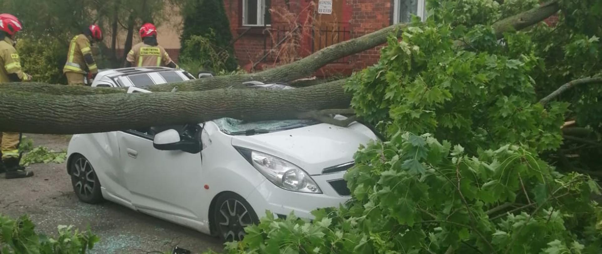 Silne wiatry nad powiatem międzychodzkim