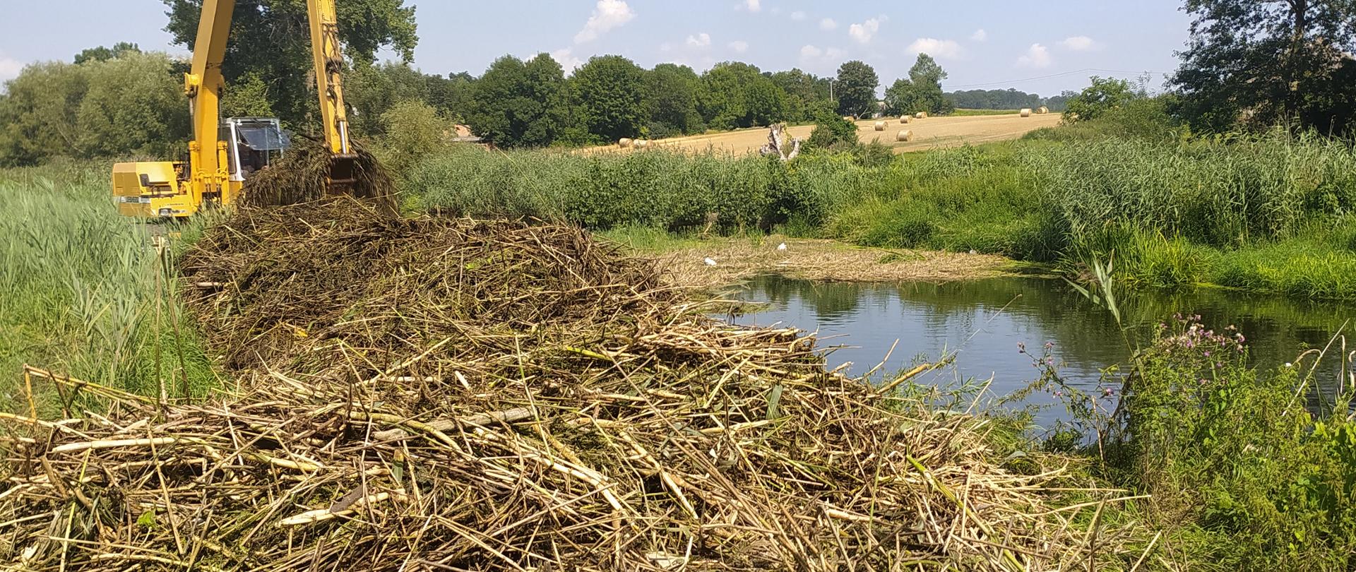 Zdjęcie przedstawia śmieci oraz pozostałości roślinne, które utworzyły zator na rzece