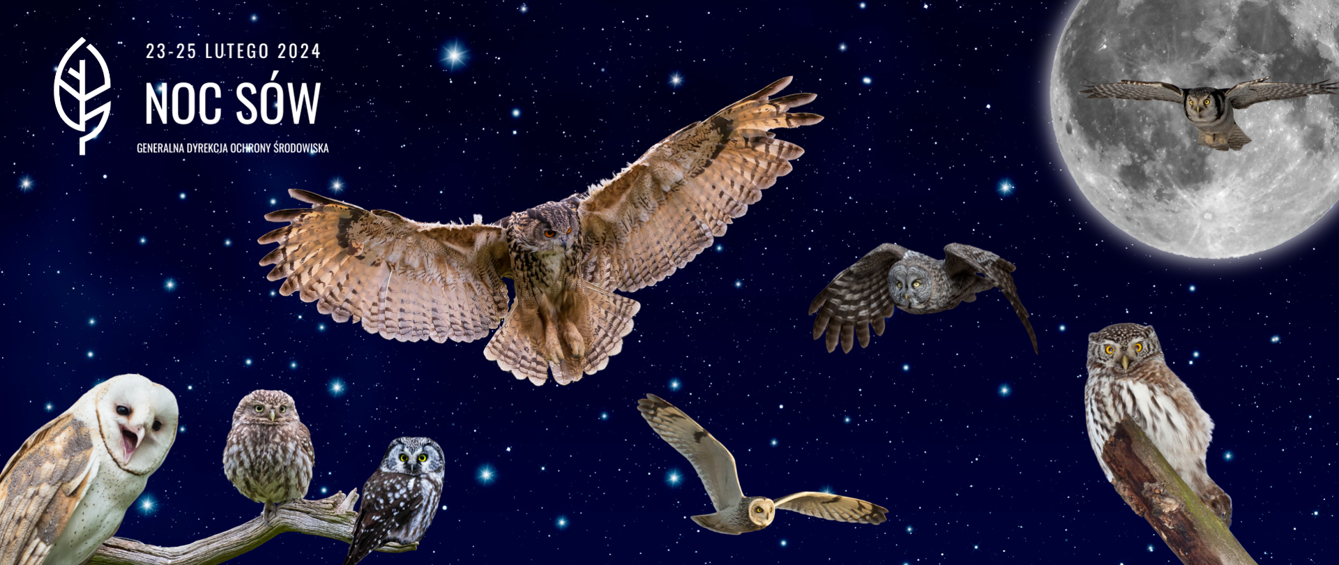 Na tle rozgwieżdżonego nieba i księżyca w pełni, grup sów. Trzy lecą z rozpostartymi skrzydłami a cztery siedzą na gałęziach. W lewym górnym rogu napis 23-25 lutego 2024 Noc Sów i logo Generalnej Dyrekcji Ochrony Środowiska.